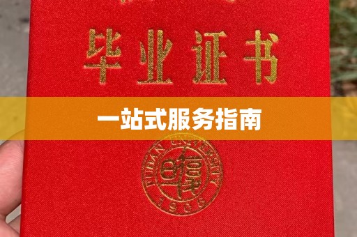 婺城一站式服务指南