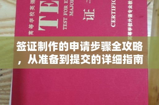婺城签证制作的申请步骤全攻略，从准备到提交的详细指南
