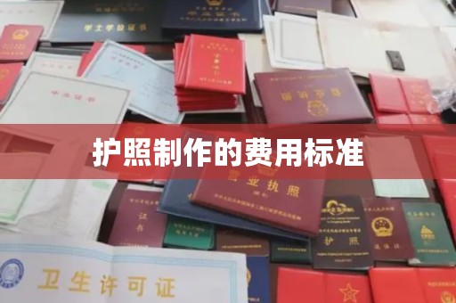 婺城护照制作的费用标准